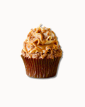 Cookie Butter Biscoff gourmet cupcake